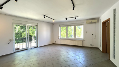 Lokal Wynajem  Poznań-Grunwald Albańska