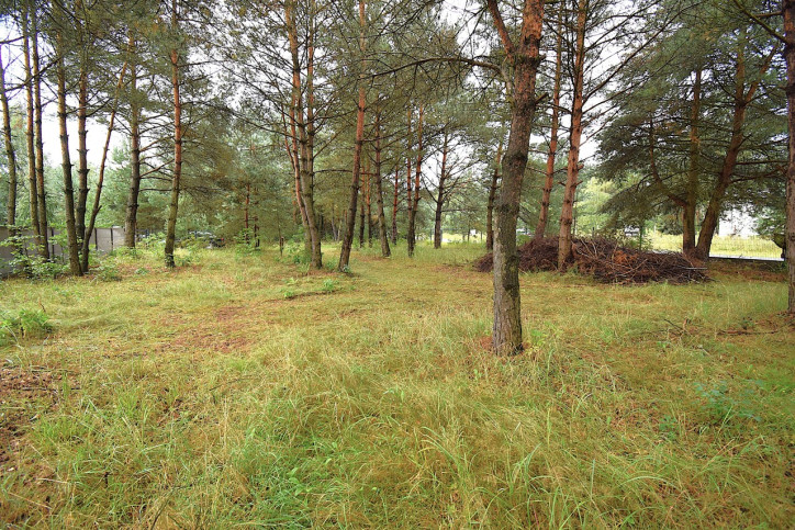 Działka Sprzedaż Karczewo 12