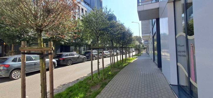 Mieszkanie Wynajem Poznań Zwierzyniecka 17