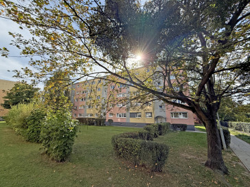Mieszkanie Wynajem Poznań Grunwald Poranek