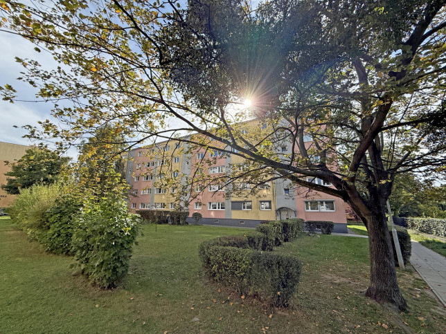 Mieszkanie Wynajem Poznań Grunwald Poranek 9